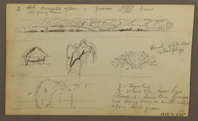 Dessin, chaînes de montagnes "entrant dans Guayaquil" ; verso : rive du fleuve, croquis botaniques, peut-être 1857