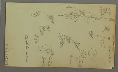 Dessin, étude de montagne, peut-être 1868