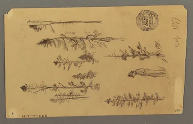Dessin, sommet de la montagne, 1877