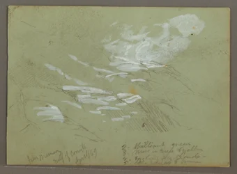 Dessin, Mountainside, avril 1869
