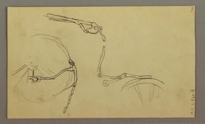 Dessin, Mountainside, juillet 1868