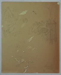 Dessin, études de la nature, montagnes bleues, Jamaïque, juillet 1865