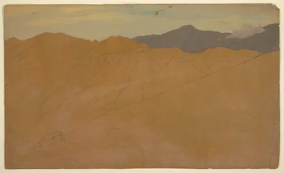 Dessin, Palmiers et cimes de maisons, Équateur, mai 1857