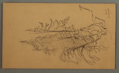 Dessin, pins, peut-être 1868