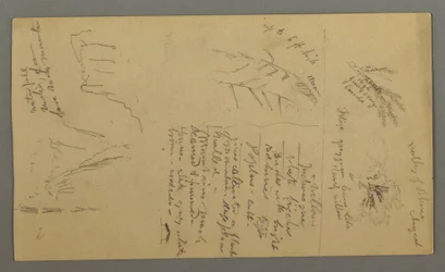 Dessin, Études de plantes, Notes sur les plantes, Cascade, 1868
