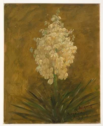 Dessin, plante en fleur, août 1865