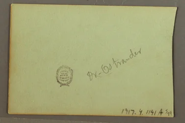Dessin, études de plantes, peut-être 1856