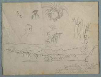 Dessin, bord de rivière avec montagnes et nuages, trois croquis botaniques et études de bustes d