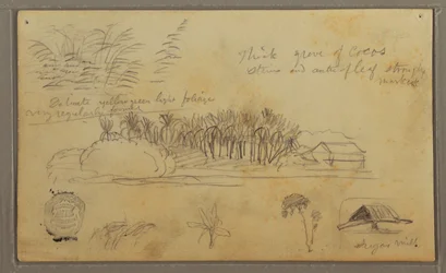 Dessin, Croquis, Équateur ou Colombie ; Verso : Croquis, Équateur ou Colombie, 1857