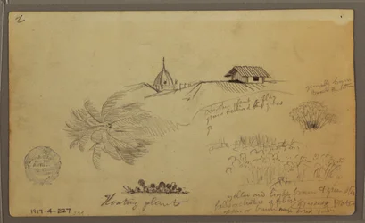 Dessin, Ciel sur la mer ; Verso : Croquis botaniques, Toits, mai 1857