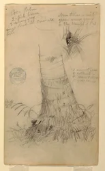 Dessin, études d