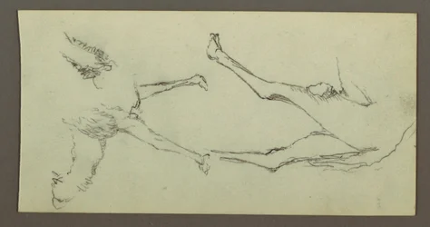 Dessin, étude des pattes de chameau, peut-être 1868