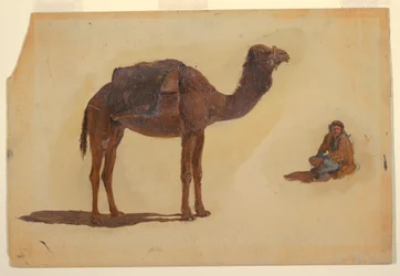 Dessin, étude d