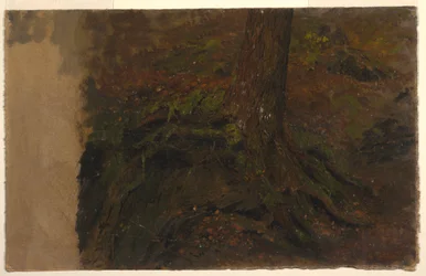 Dessin, étude d
