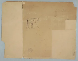 Dessin, âne attaché et style de clôture, Amérique du Sud, 1853