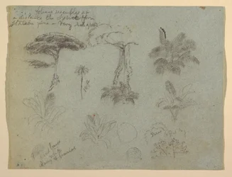 Dessin, Études d