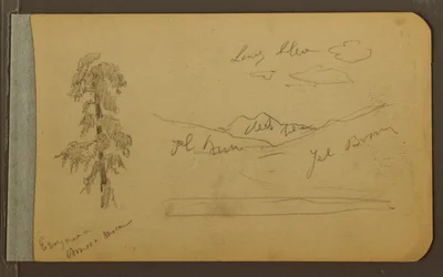 Dessin, arbre, montagnes, 1889