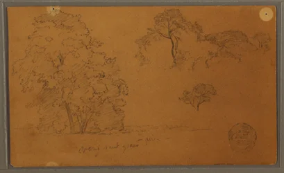Dessin, arbres, 1857