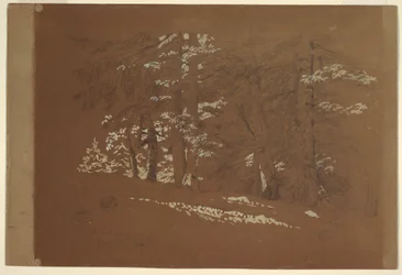 Dessin, arbres, Berchtesgaden, Bavière, 1868
