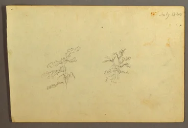 Dessin, Arbres, juillet 1844