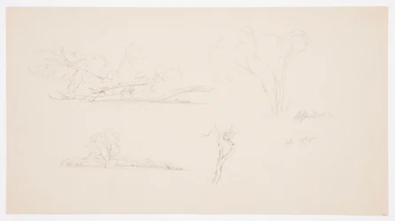 Dessin, Arbres, un rivage avec des buissons et des arbres, septembre 1876