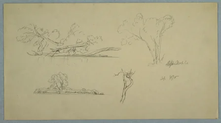 Dessin, Arbres, un rivage avec des buissons et des arbres, septembre 1876