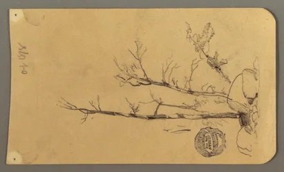 Dessin, Arbres, rochers, 1878