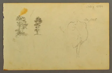 Dessin, arbres, vache, 1844