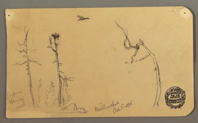 Dessin, arbres, oiseau volant, 1877