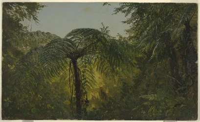 Dessin, paysage tropical, juin ou juillet 1865