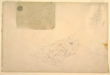 Dessin, Deux mains qui se serrent, racines d