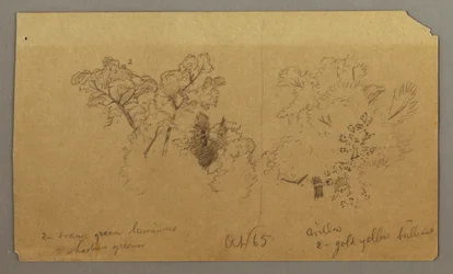 Dessin, Deux études d