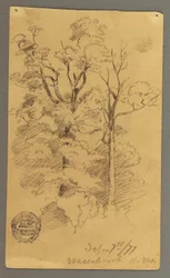 Dessin, Deux arbres, 1877