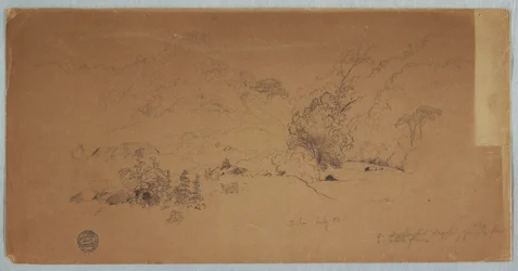 Dessin, vue de Toche, Colombie, juillet 1853