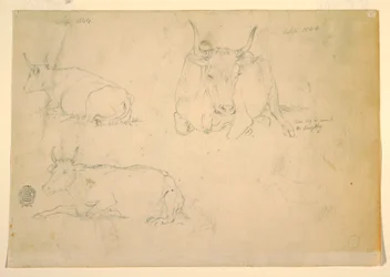 Dessin, Vues de bovins accroupis, septembre 1844