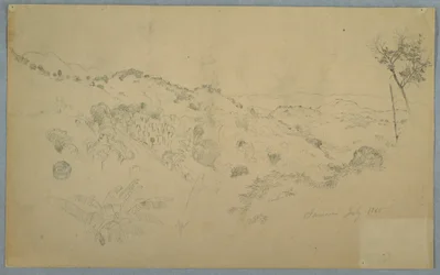 Dessin, vallée boisée avec une grande fougère et des chaînes de montagnes lointaines, Jamaïque, juillet 1865
