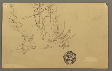 Dessin, rive boisée, peut-être 1877