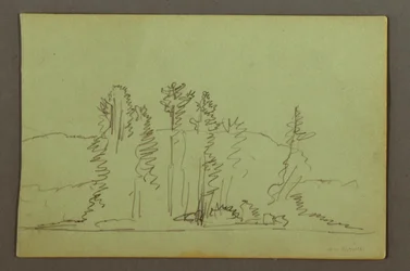 Dessin, rive boisée d