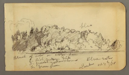 Dessin, rivage boisé, eau, 1878