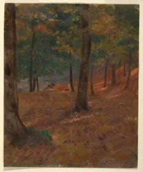 Dessin, scène de forêt, 1870-80