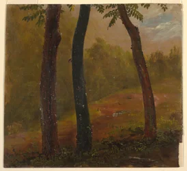 Dessin, scène de forêt, Jamaïque, 1865