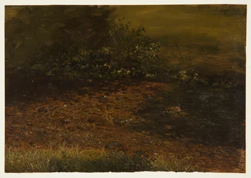 Dessin, ruisseau de forêt dans les Catskills, septembre 1848