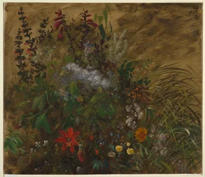 Fleurs en Jamaïque