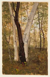 Dans les bois, Hudson, New York