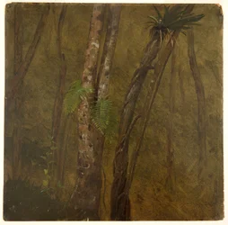 Paysage en Jamaïque