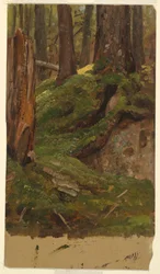 Bois du Maine ?