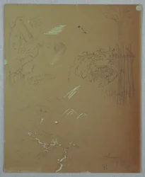 Études de la nature, Blue Mountains, Jamaïque