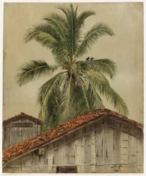 Palmiers et cimes des maisons, Équateur
