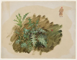 Études de plantes