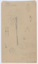 Esquisses de la Jamaïque, Antilles